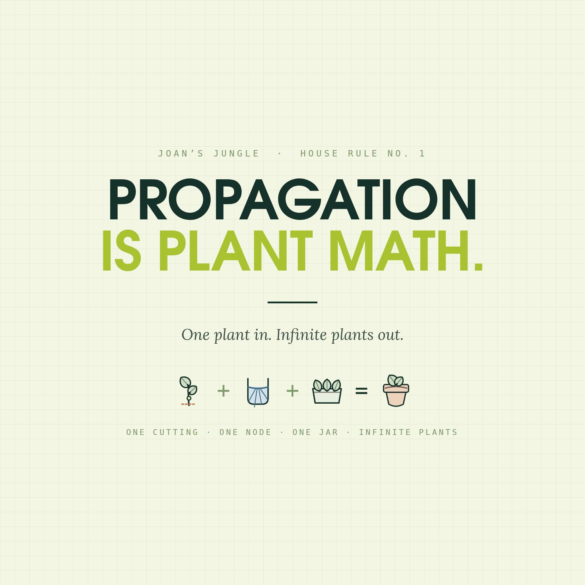 Propagation Guide 21 Houseplants Step by Step