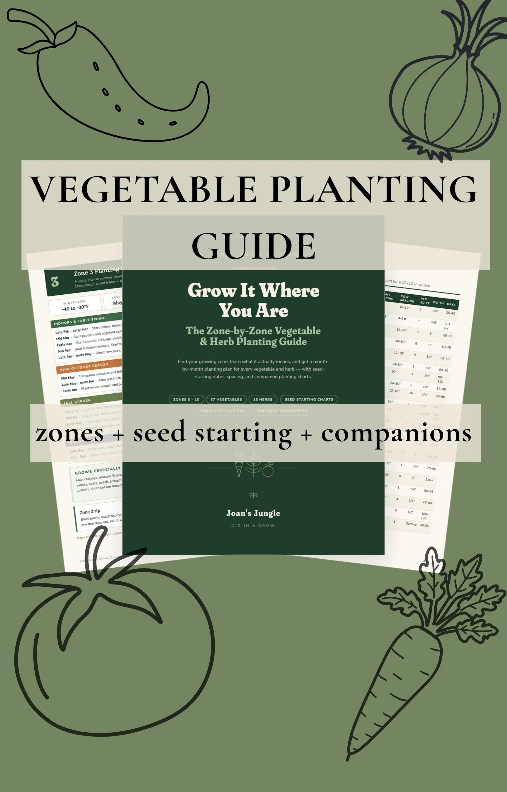 Vegetable Planting Guide by USDA Zone – Seed Starting &…