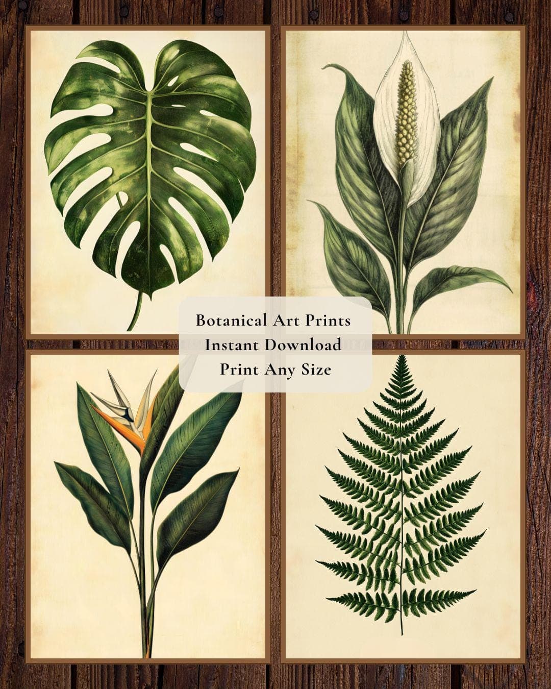 Vintage Botanical Print Set of 4