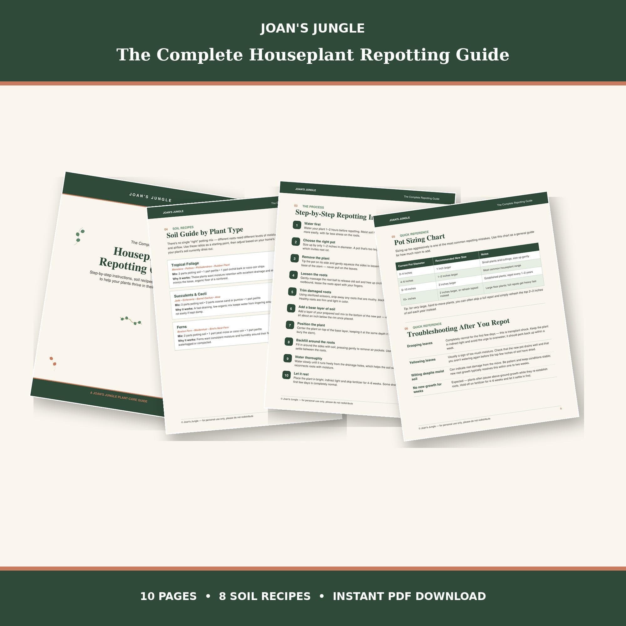 Houseplant Repotting Guide PDF