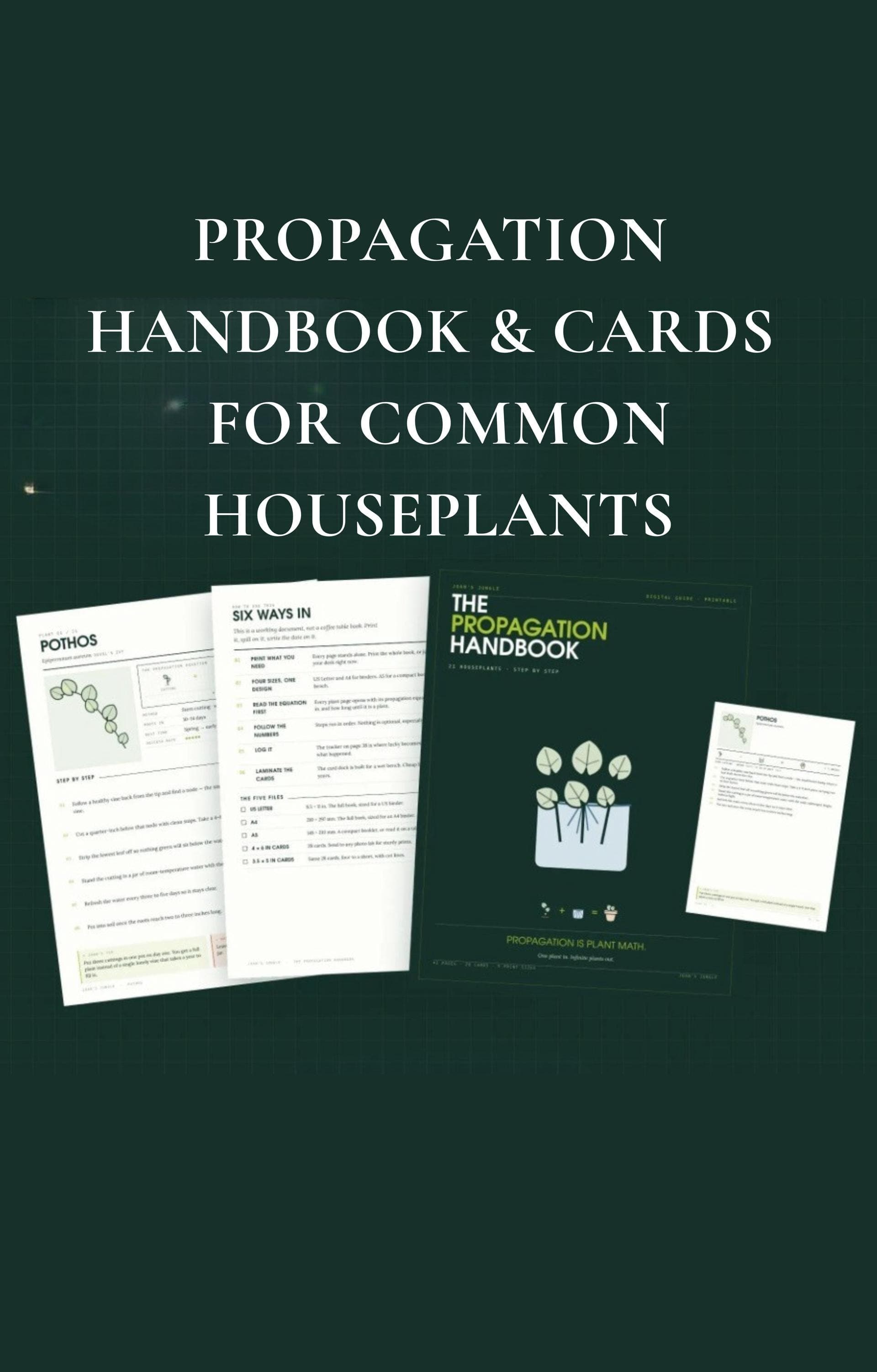 Propagation Guide 21 Houseplants Step by Step